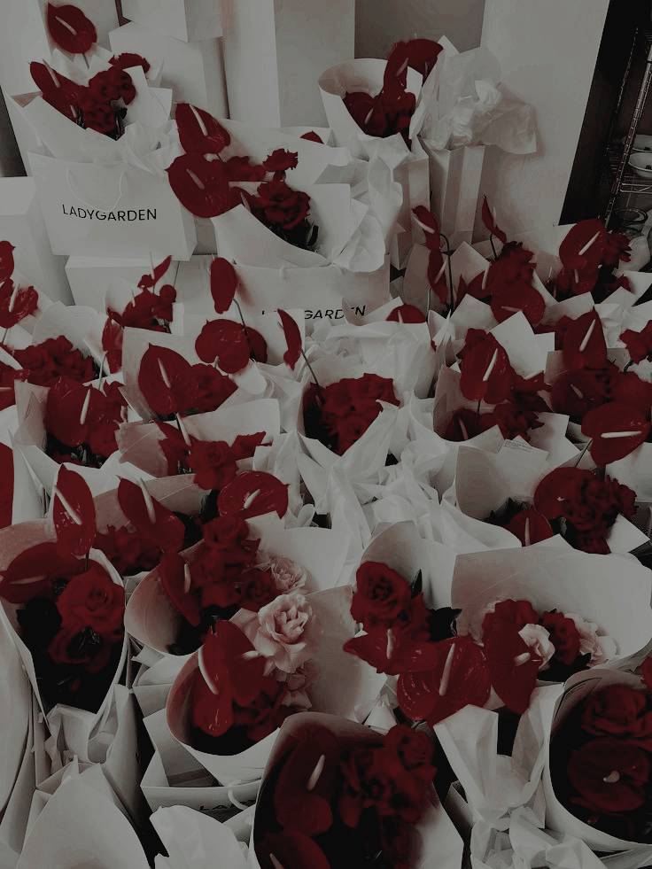 𝐉𝐀𝐌𝐄𝐒 𝐒𝐈𝐑𝐈𝐔𝐒. (@thtfckingptter) on Twitter photo 