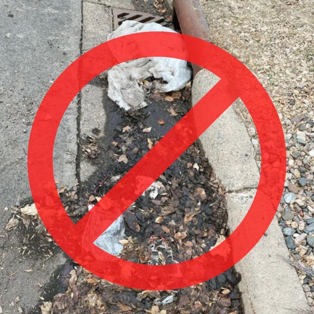 This is what a storm drain should not look like!😖 Debris like this can clog up drains and cause flooding. Luckily one of our amazing drain adopters took the time to clear this drain up! Show us one of your satisfying drain cleanings in the comments below.⬇️ (📷: MN_Trashtagram)