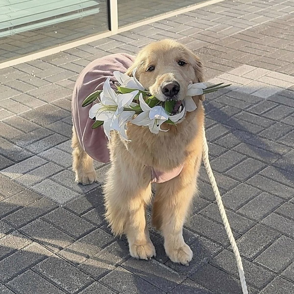 takemybear's tweet photo. แหปปี้วาเลนไทน์คับเบบี๋ 🥰 https://t.co/pRxkC8E15n