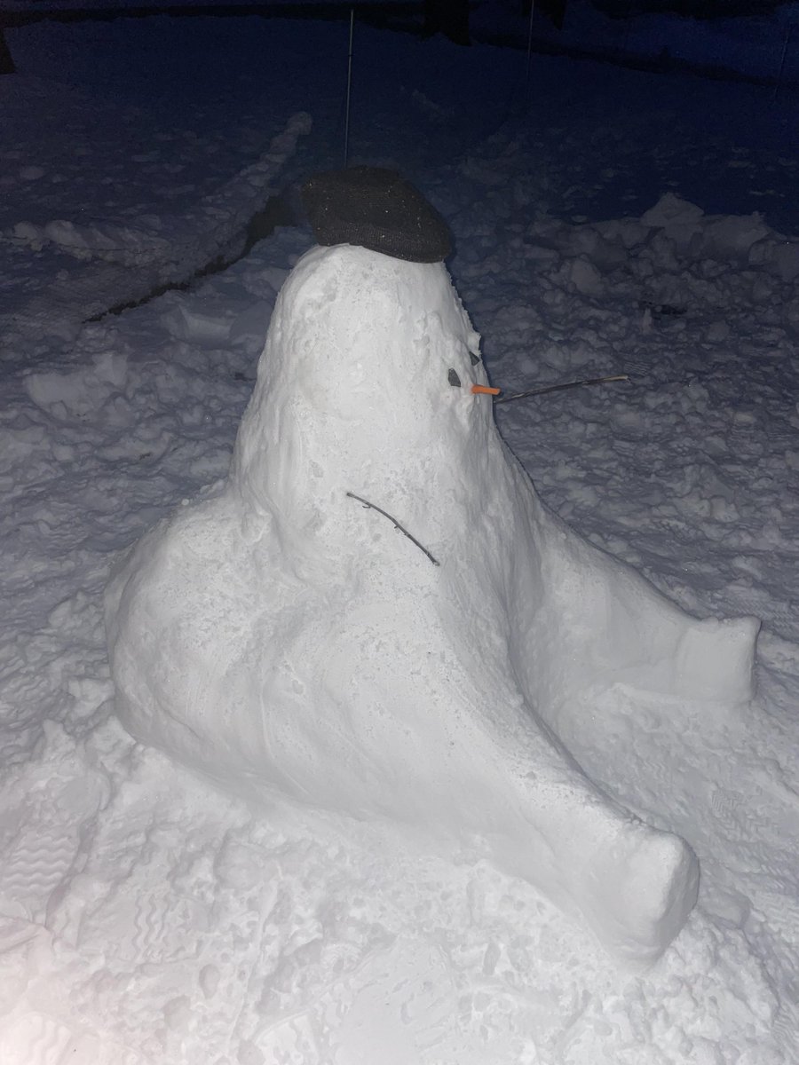 PawvinC's tweet photo. It's snowed today, so I made a snow cake https://t.co/1g5pCl28yy