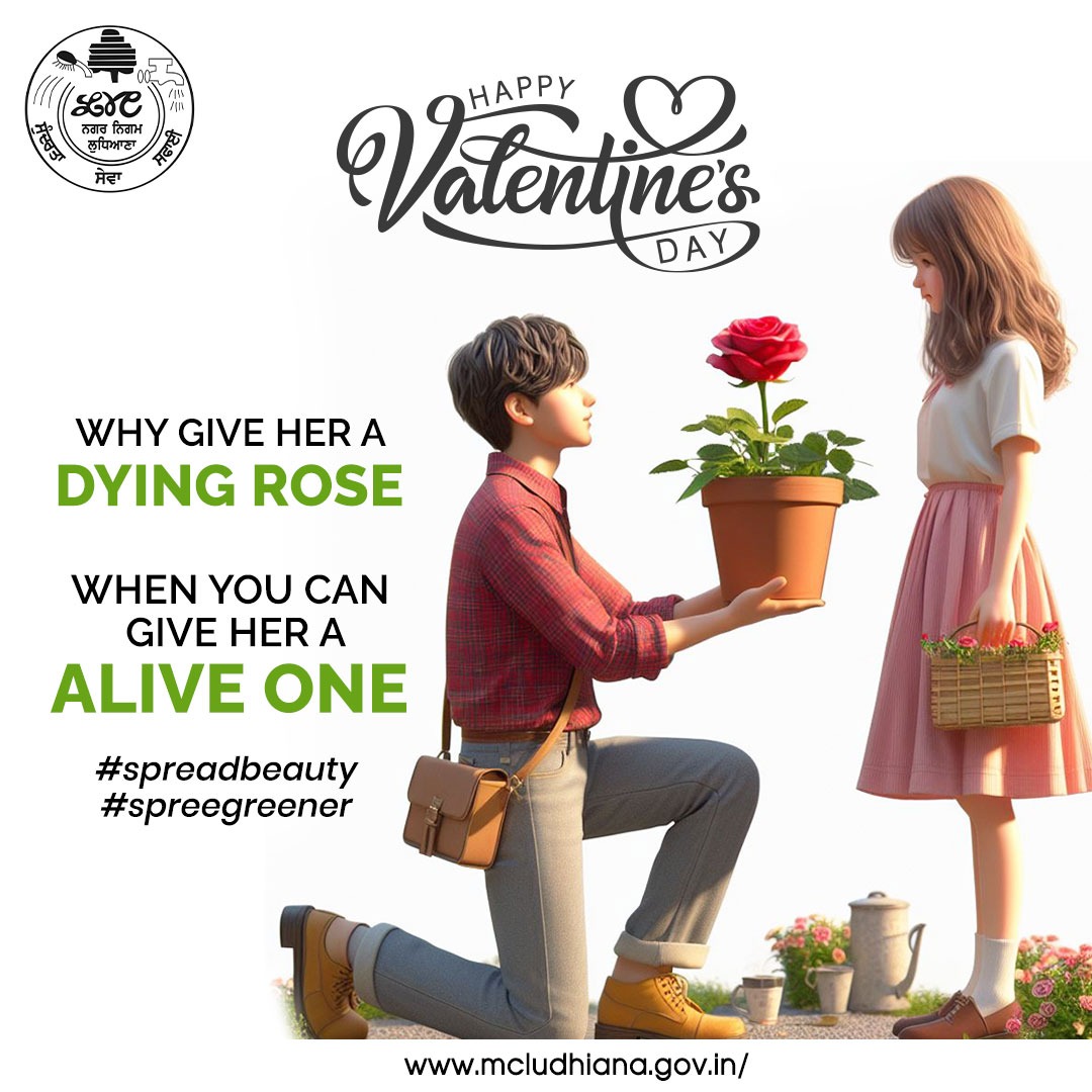 Who needs a dying rose when you can give her one that's alive and blooming? 🌹💕 Let your love flourish this Valentine's Day! 
Happy Valentine's Day!
.
.
.
#bloomingromance #valentinesrose #blossominglove #giftsoflove #loveinfullbloom #celebratelove #mcl #mcludhiana