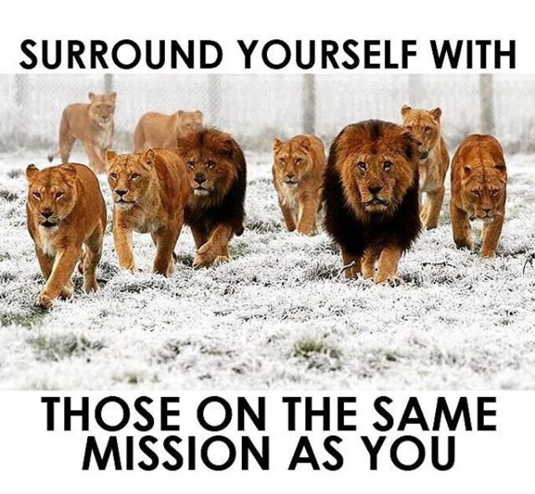 JV played a gritty 1 to 1 tie vs Terrell. Goal &amp; assist: Daniel Gamino ⚽️ Diego Garza 🅰️ Varsity had a decisive 4 to 1 victory. Goals &amp; Assists:Regan Trojacek ⚽️ ⚽️ ⚽️ 
Sebastián Hernandez ⚽️ Bryan Alba 🅰️ Jareth Cardona 🅰️ Thank you to the fans and college coaches who attended.