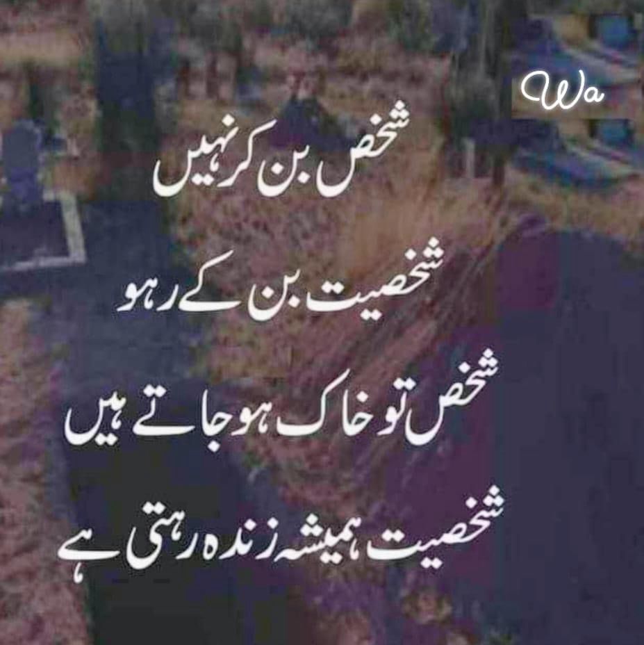 سیاسی کبوتر tweet media