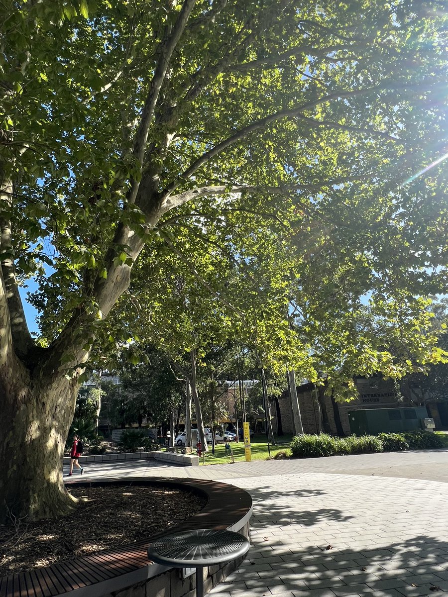 I’m very happily back working at @UNSWLaw and it’s been a joy to see some new campus developments, but still see some of my favourite signage and favourite tree.