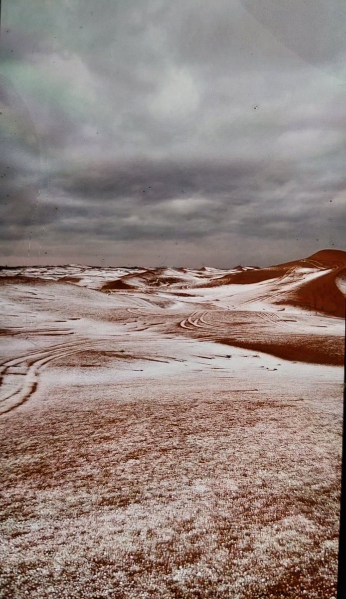 UAE ka dessert baraf se bhar gyaa ❣️