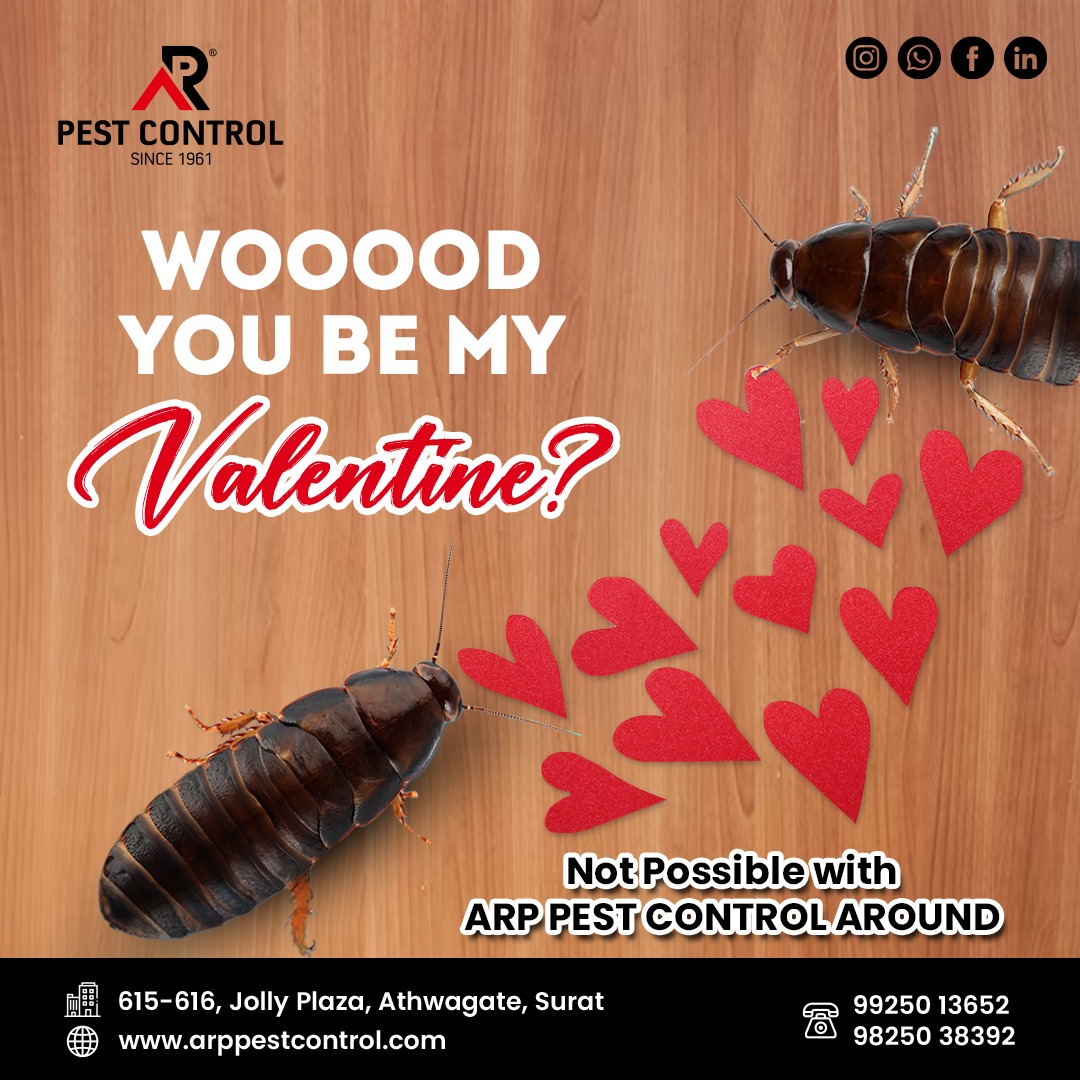 ARP_pestcontrol's tweet photo. 💕 Happy Valentine's Day from the ARP Pest Control family! 💕 Spread love, not pests! 🐞 

#valentineday #lovebug #pestcontrol #bugfree #loveisintheair #valentinesvibes #heartfelt #healthyhome #happyvalentinesday #followformore #surat https://t.co/tKODY1AIip
