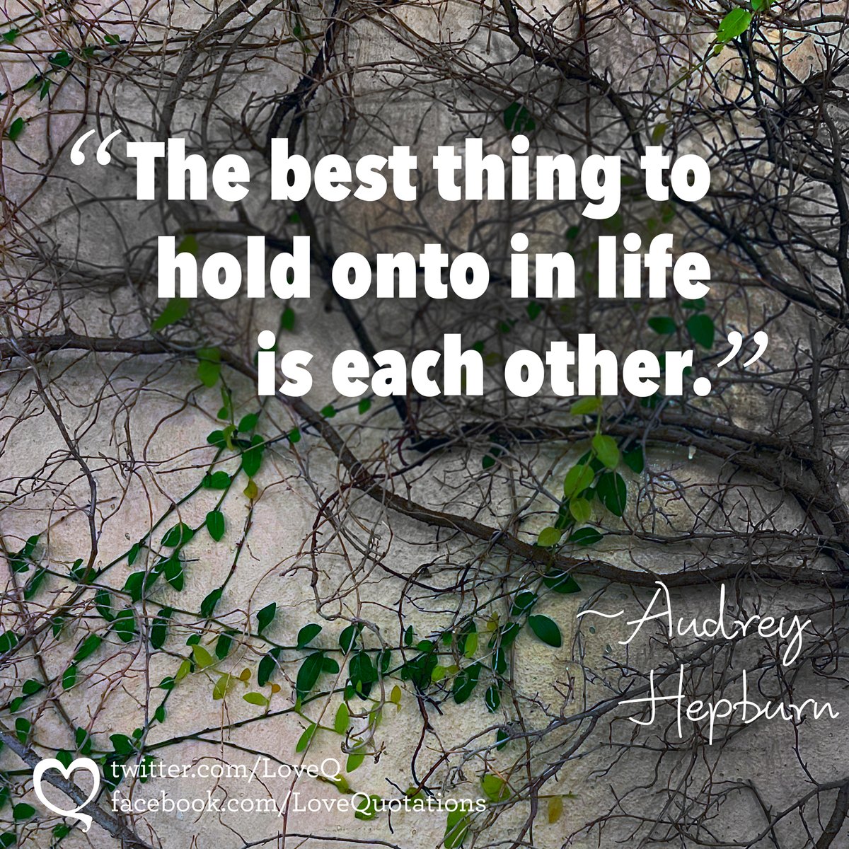 Love Quotes tweet media