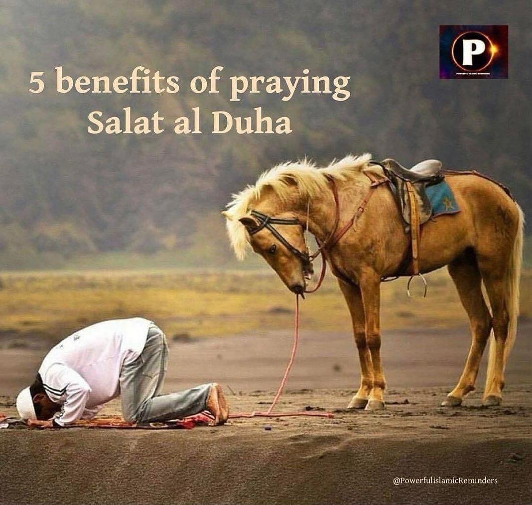 7signxx's tweet photo. Five Benefits of Salatul Duha...

THREAD https://t.co/kSyBIYUZrW
