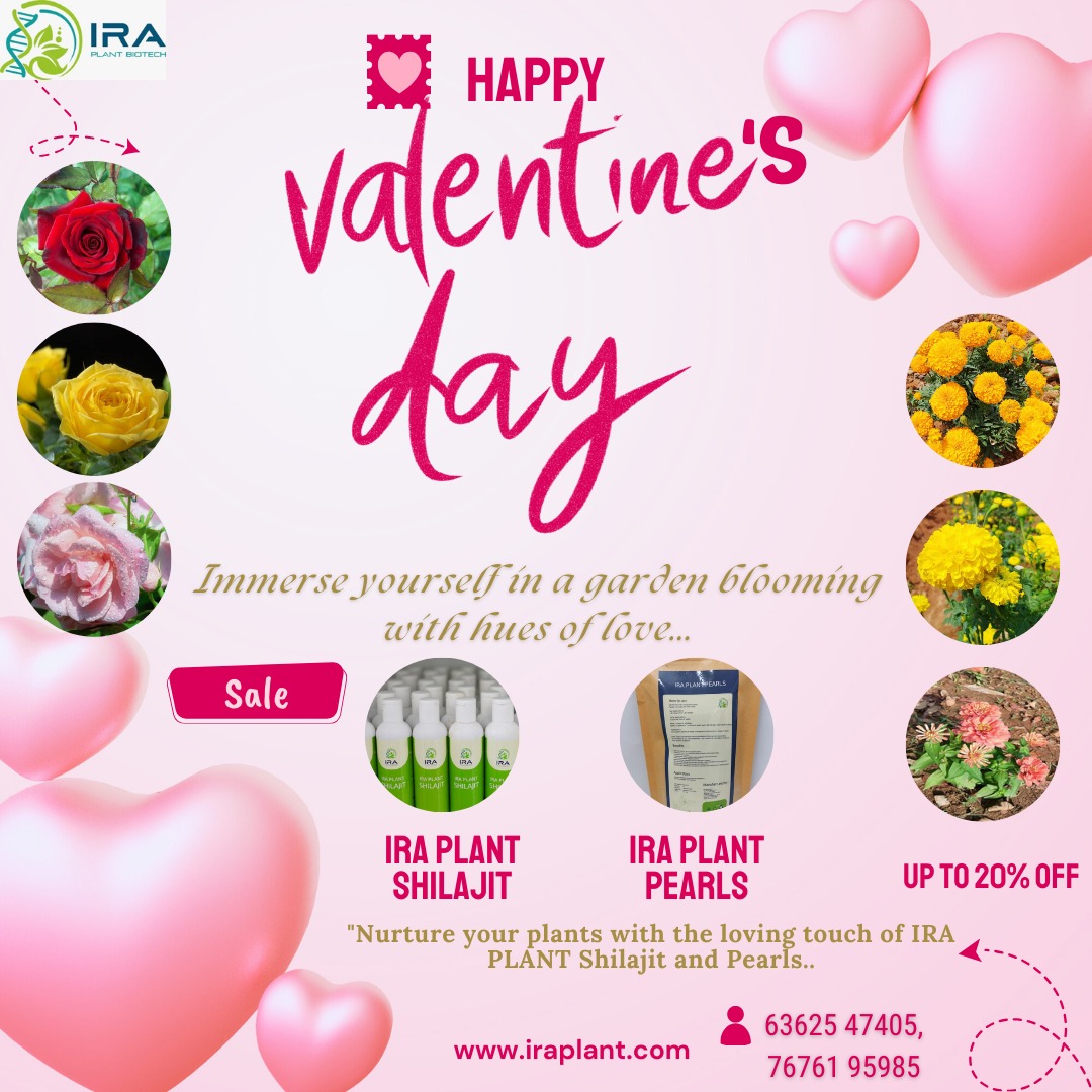 Happy valentine's day 
#happyvalentine 
#valentinesday2024 
#valentinesgift 
#valentines 
#ecoplantsupplements 
#GardenGoals 
#greenthumbsup 
#healthyplants 
#organicgardening 
#PlantBoost 
#naturalplantcare 
#EcoFriendlyGarden 
#gardening 
#plant