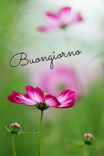 doluccia16's tweet photo. @AngelaBaroness https://t.co/A2fUy7NFzV