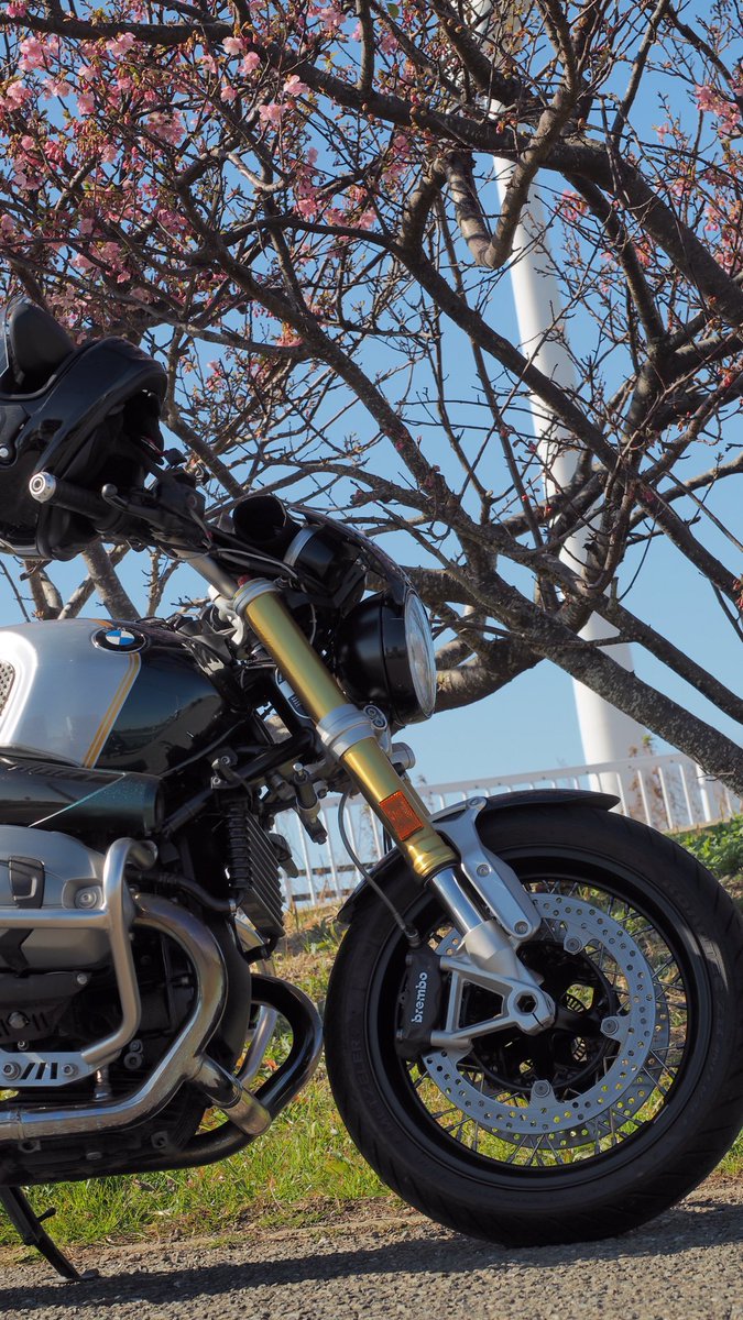 Michi401248121's tweet image. 今日は暑いくらいでした。
三浦半島はもう桜が咲いています。
今日は一眼で撮りました。
#EM5
#三浦半島 
#rninet