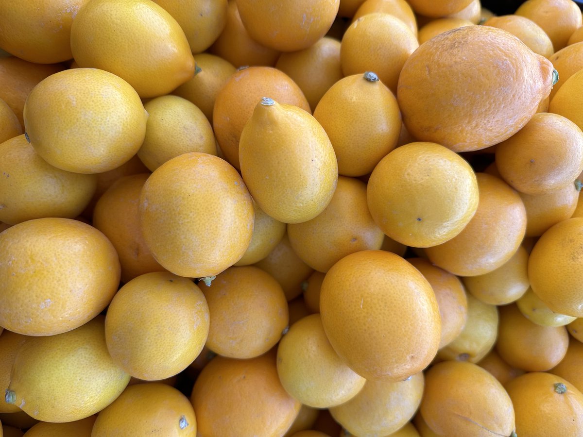 Meyer lemons are still at our stand in this Thursdays market. Less acidic than our Lisbon lemons, the juice from this fruit is worth it. Stop by for your supply! #southpasadena #meyerlemon #lemon #citrus