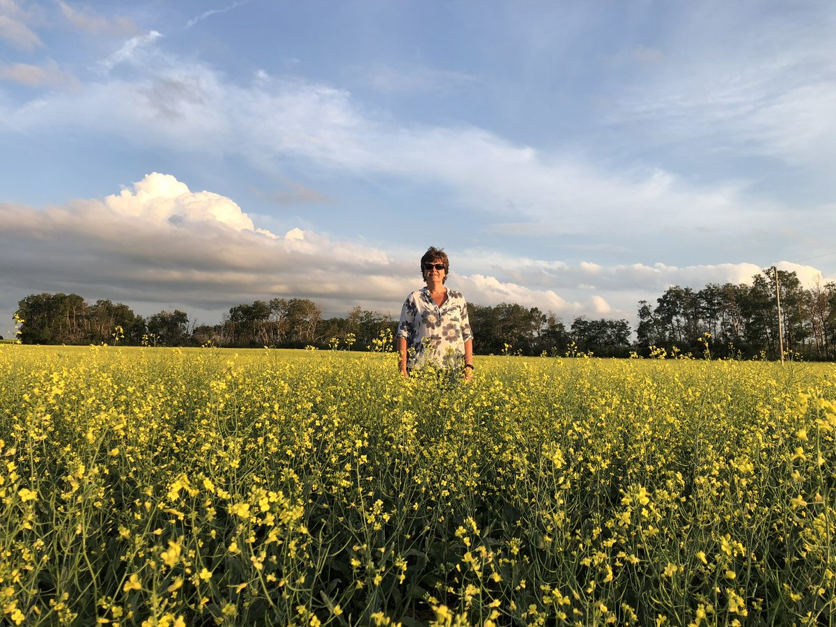 As a SK canola grower, there’s so much to celebrate on #CdnAgDay 🇨🇦 Of particular interest is a @globalfoodsecur study that shows we are the most sustainable producers of canola & other crops gifs.ca/sustainableag #CdnAg