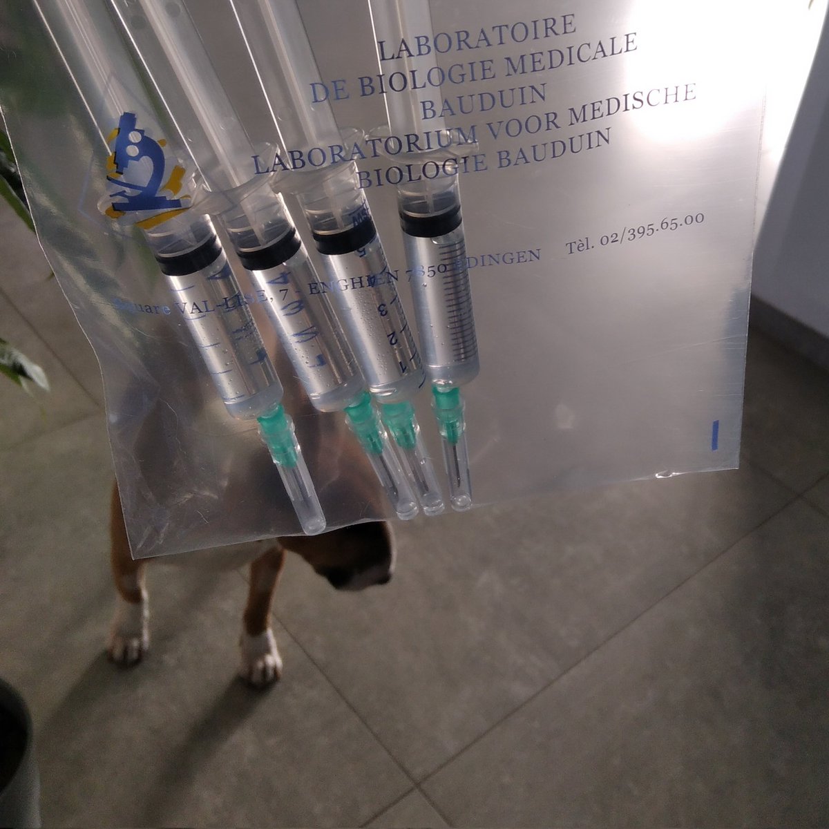 PapiMorgane's tweet image. #AndyChoe ❤💉