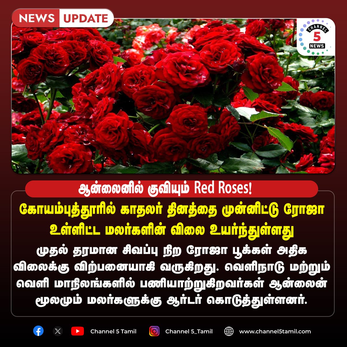 ஆன்லைனில் குவியும் Red Roses!
#valentinesday #couples #love #lovestatus #valentine #channel5tamil #valentineday #valentinegift #gift #valentinesgift #valentine #love