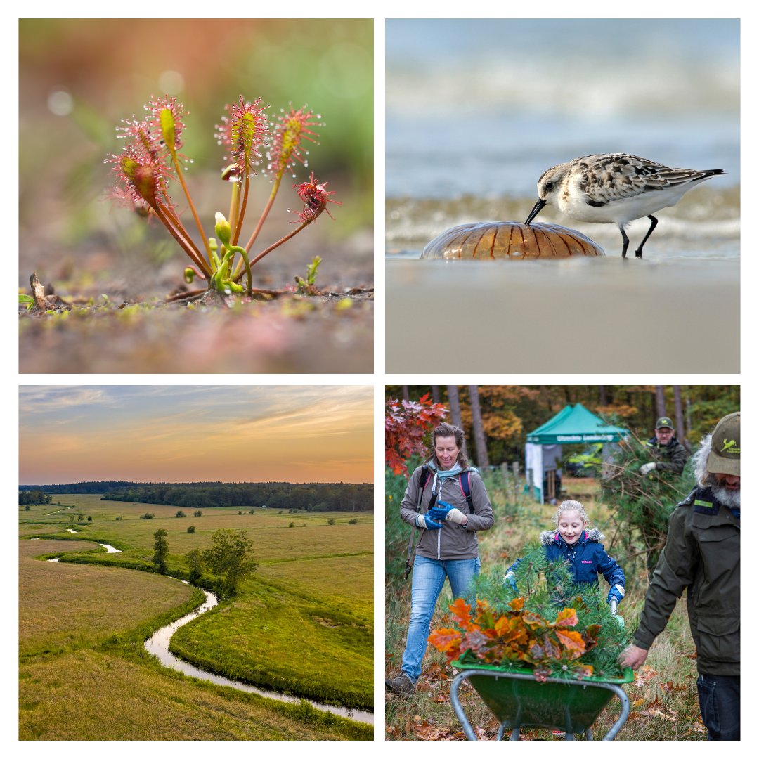 Fantastisch! Ook dit jaar ontvingen we €13,5 miljoen van de Nationale Postcode Loterij. Met deze fantastische bijdrage kunnen de provinciale Landschappen & Landschapsbeheerorganisaties zich blijven inzetten voor bescherming van natuur, landschap & erfgoed.💚 #deelnemersbedankt