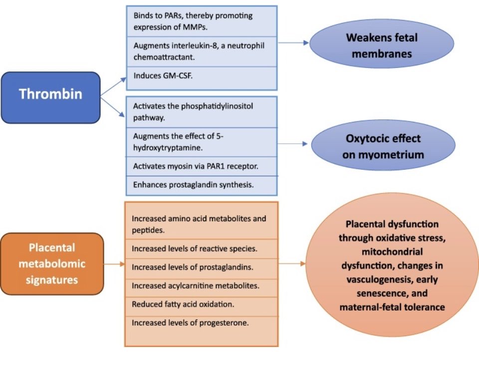 This is important as screening and management v different. ?15% of cases we see. Need more than CL/FFN. The role of placental insufficiency in spontaneous preterm birth: - European Journal of Obstetrics and Gynecology and Reproductive Biology ejog.org/article/S0301-…