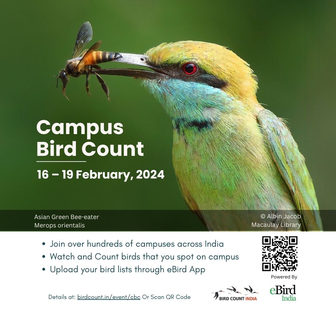Is your campus taking part?

birdcount.in/event/cbc/

#campusbirdcount #gbbc