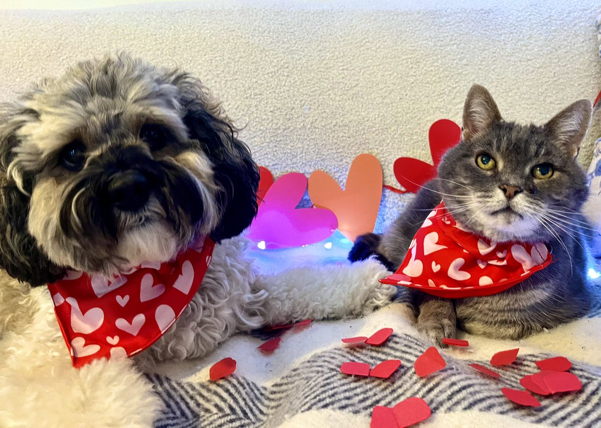 Friends! ❤️ It’s Valentine’s Day! ❤️
We hope you will be able to see your Loved Ones today. We are planning a Special Day. A visit from Trixie, lots of Treats, and plenty of Cuddles &amp; Kisses ❤️ Whether or not you have a Valentine of your own, we are sending you HEAPS of LOVE and