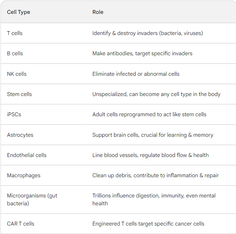 Important Cell types & their role

iPSCs= induced pluripotent stem cells
T-cells= T lymphocytes (WBC)
B-cells= lymphocyte (bursa-derived cells)