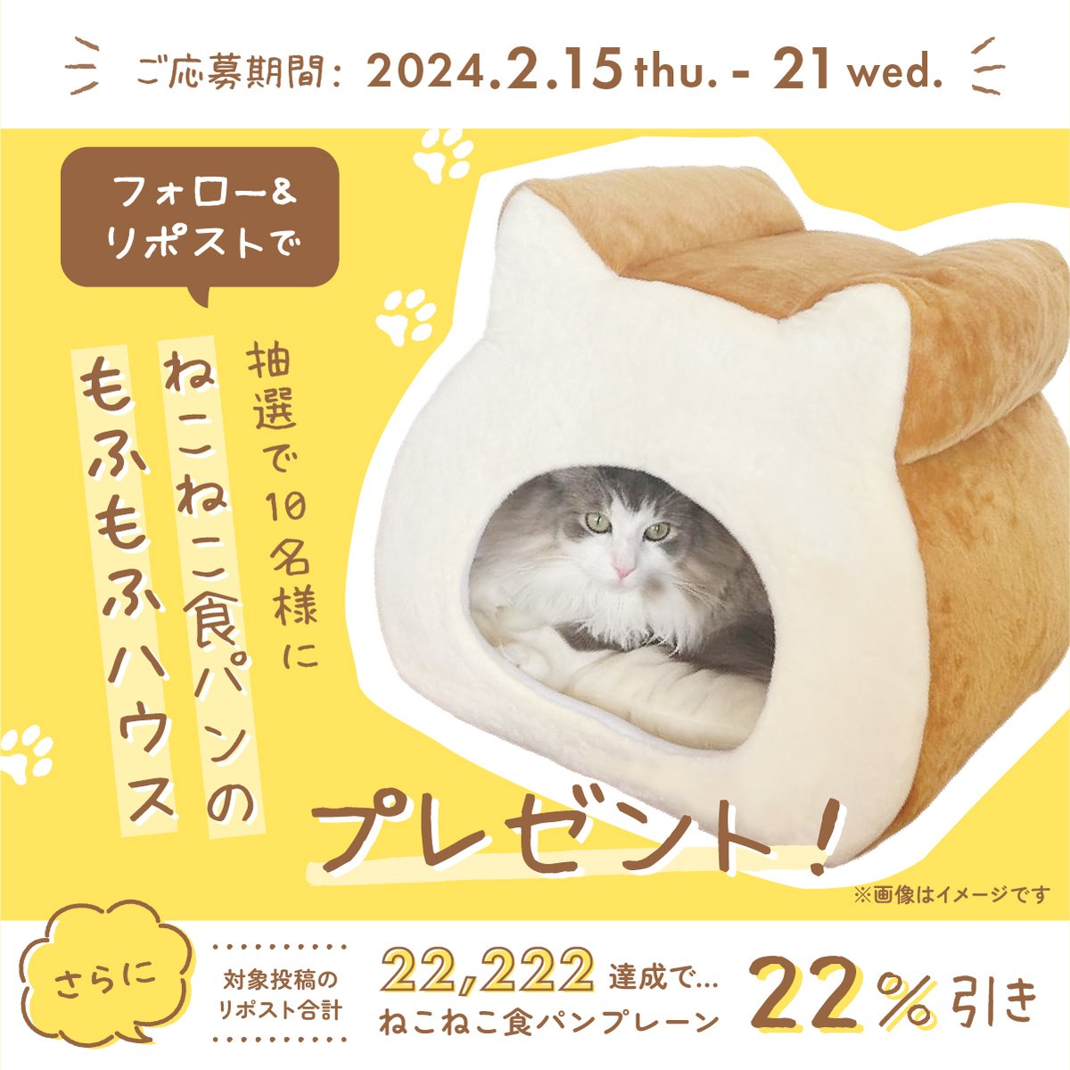 ねこねこ食パン【公式】 tweet media