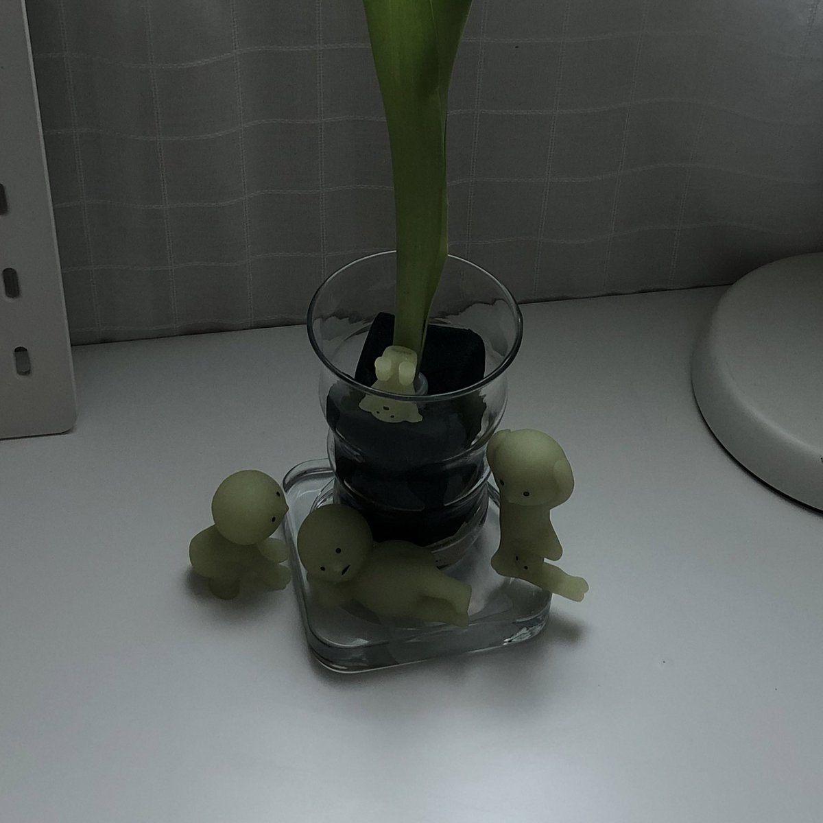 ur__agust's tweet photo. happy hearts day <3 bought myself a flower https://t.co/71evqt29cQ