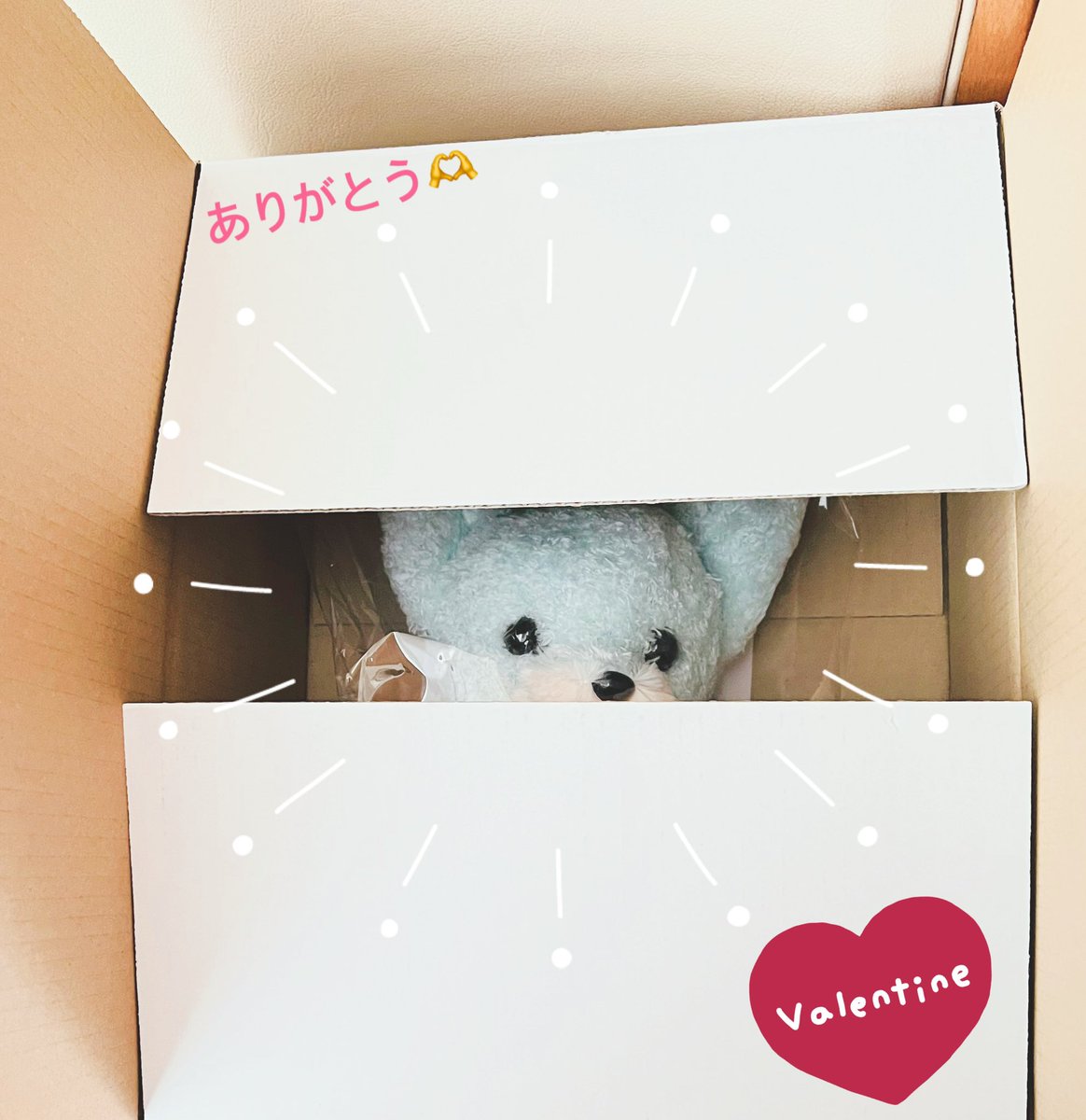 新田真剣佑 マグ Macken FamilyLimited Mag ぬいぐるみ