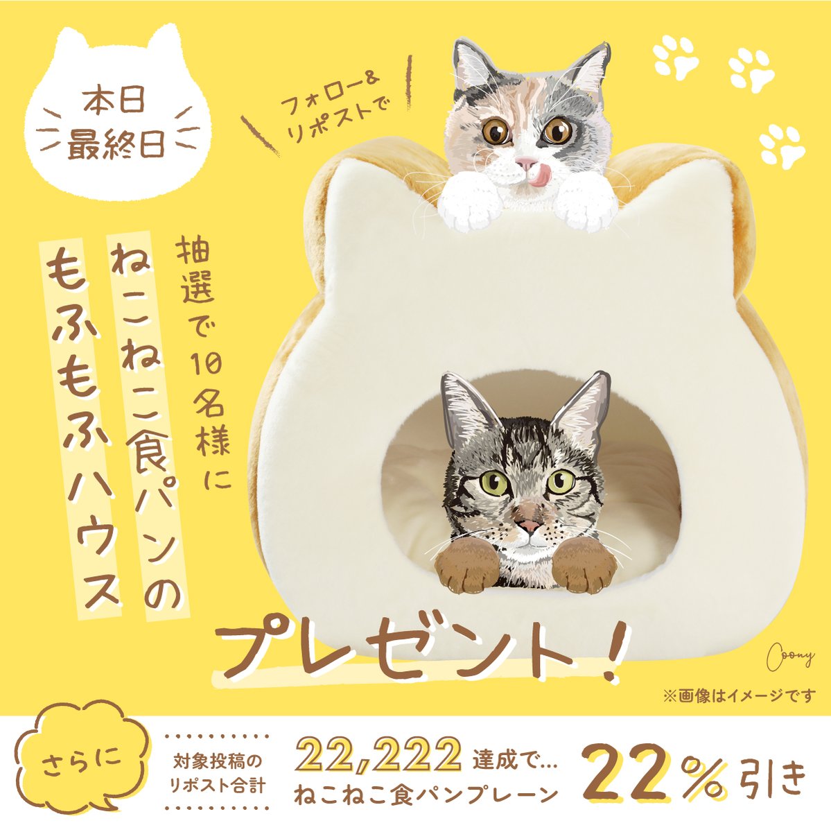 ねこねこ食パン【公式】 tweet media