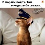 Photo by БоцМэн (@haevka2)