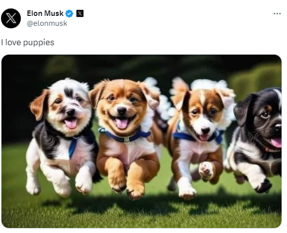 I love puppies $puppies (@Ilovepuppieseth) / Posts / X