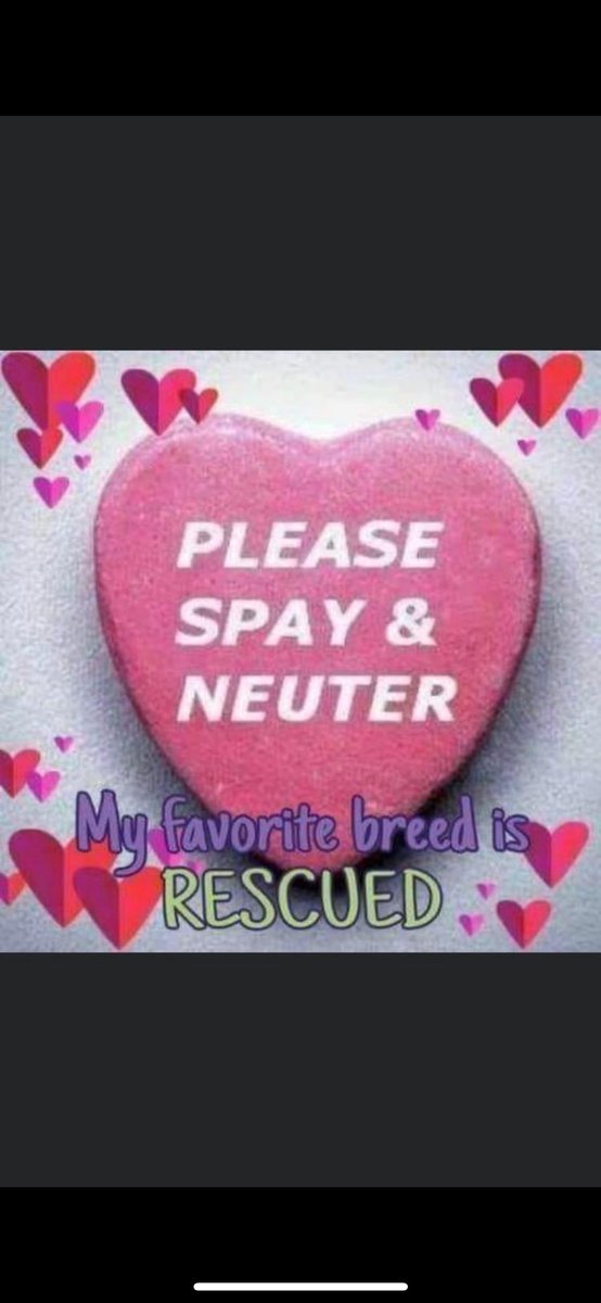 ❤️🐾