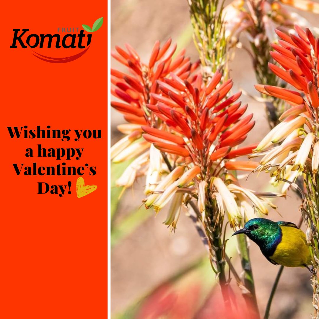 KomatiFruitGroup (@komatifruit) on Twitter photo 