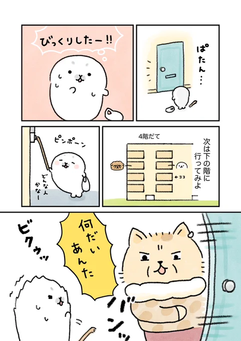 (2/2) 