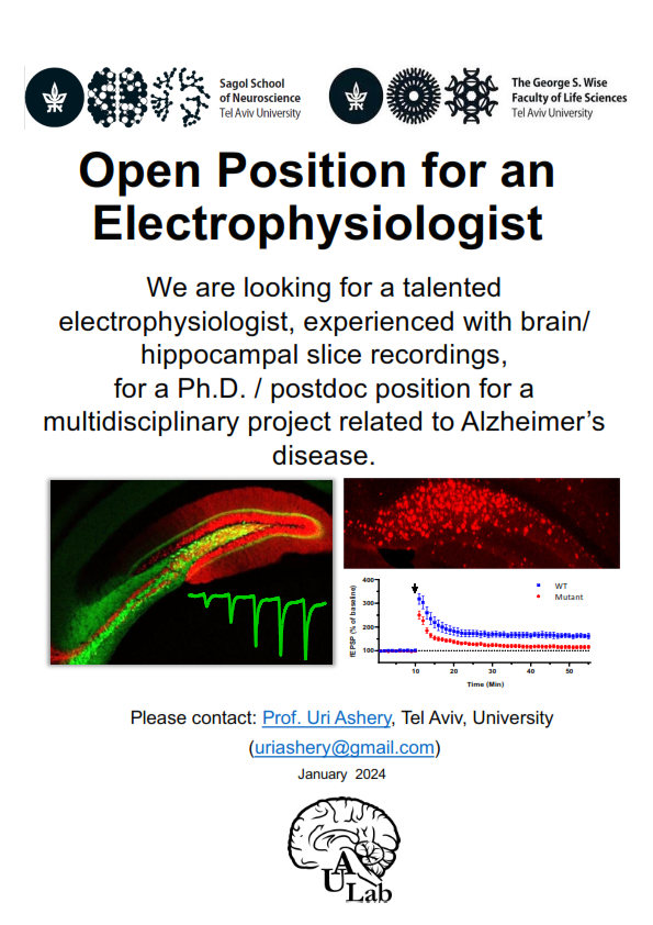 ESN (@esnsociety) on Twitter photo The Learning and Memory lab directed by Prof. Uri Ashery is looking for a talented electrophysiologist, experienced with brain/hippocampal slice recordings, for a multidisciplinary project related to Alzheimer’s disease.
Please contact: uriashery@gmail.com The Learning and Memory lab directed by Prof. Uri Ashery is looking for a talented electrophysiologist, experienced with brain/hippocampal slice recordings, for a multidisciplinary project related to Alzheimer’s disease.
Please contact: uriashery@gmail.com
