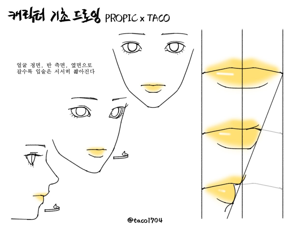 얼굴 정면, 반 측면, 옆면으로 갈수록 입술 한쪽 길이가 서서히 짧아진다