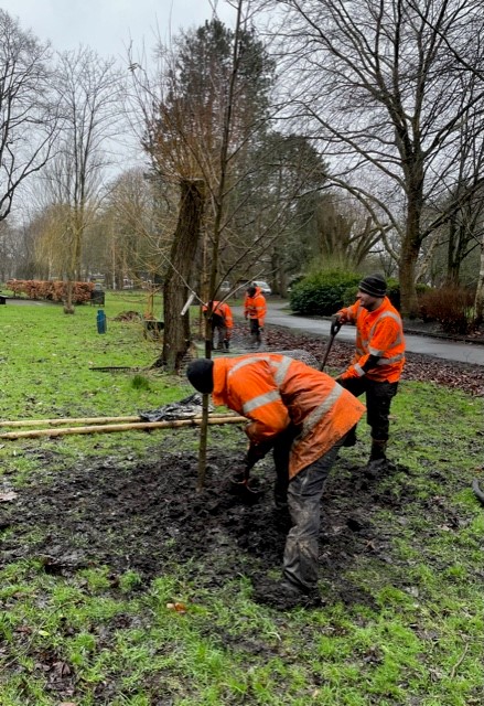 🌳 Planting 29 trees in Stamford Park was a success! Shoutout to <a href="/CityofTreesMcr/">City of Trees</a>  and <a href="/TraffordCouncil/">Trafford Council</a>  for their support in funding and organising this initiative. Despite the rain, our team persevered and did a fantastic job. Can't wait to see these trees flourish! 🌿  🌳