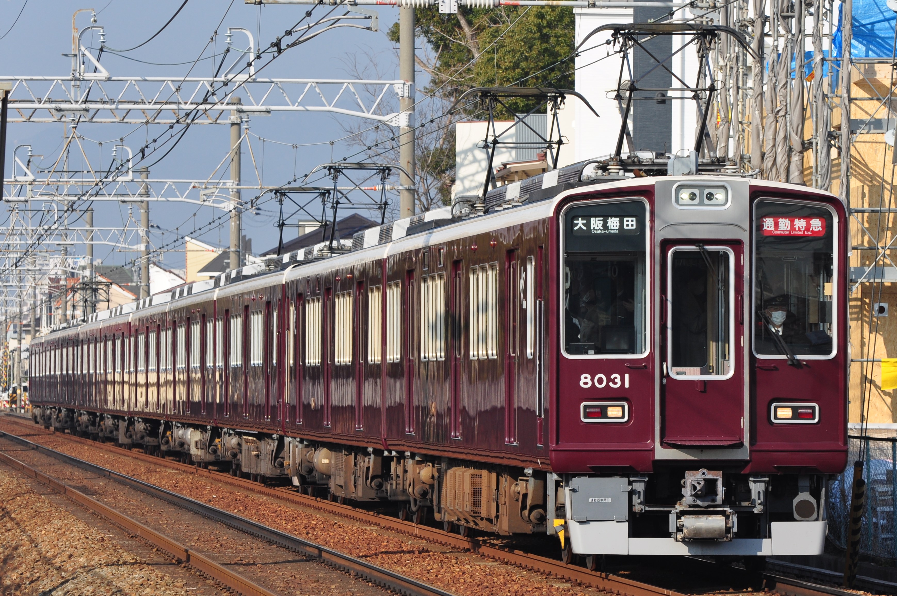 まなせ on X: 