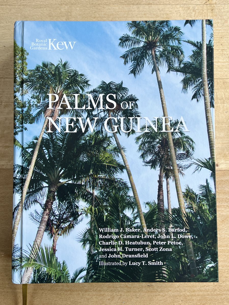 #Palms of New Guinea book is out at last! 26 years in the making, 250 species, 91 of them described as new-to-science along the way, 650 photos, 250 line illustrations by @palmsmithy. Huge thanks to @KewScience and all of our partners in Indonesia, PNG and beyond!