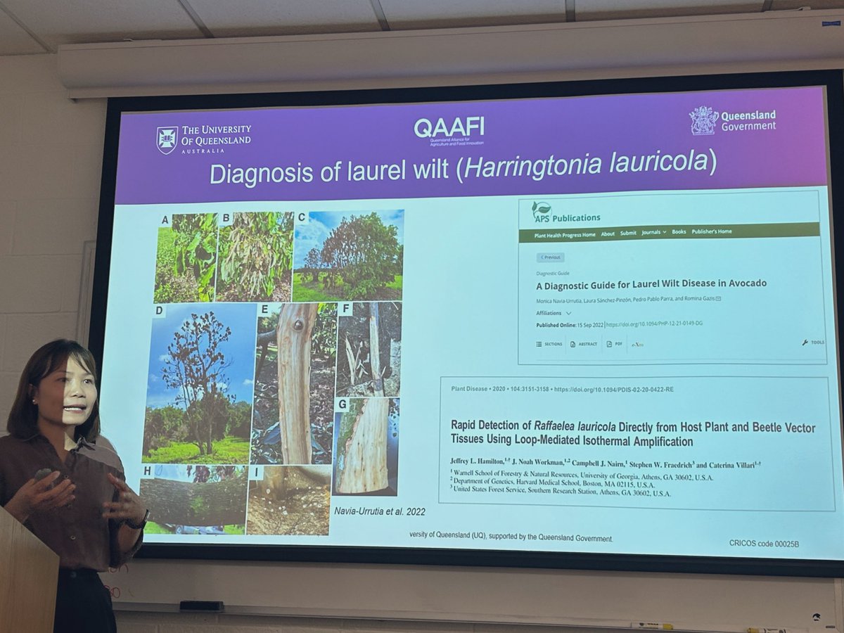 Proud of my lab’s hard work publishing these #diagnostic guides (#laurelwilt and #scab) which are helping protect the #avocado 🥑industry in other parts of the 🌎 #Australia #biosecurity #invasive #aguacate #foodsecurity #planthealth @AusAvos @UQscience @USDAForeignAg @EPPOnews