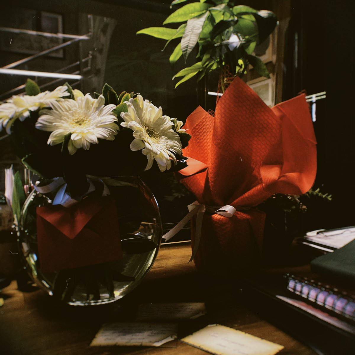 Hayat insanı ait olduğu yere sürüklüyormuş bi şekilde. Şu an hayatım beni gerçekten önemseyen ve seven insanlarla doluymuş şu inceliğe bakın hepsini çok seviyorum 💜