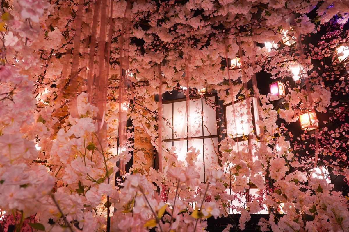 スタジオこむや on X