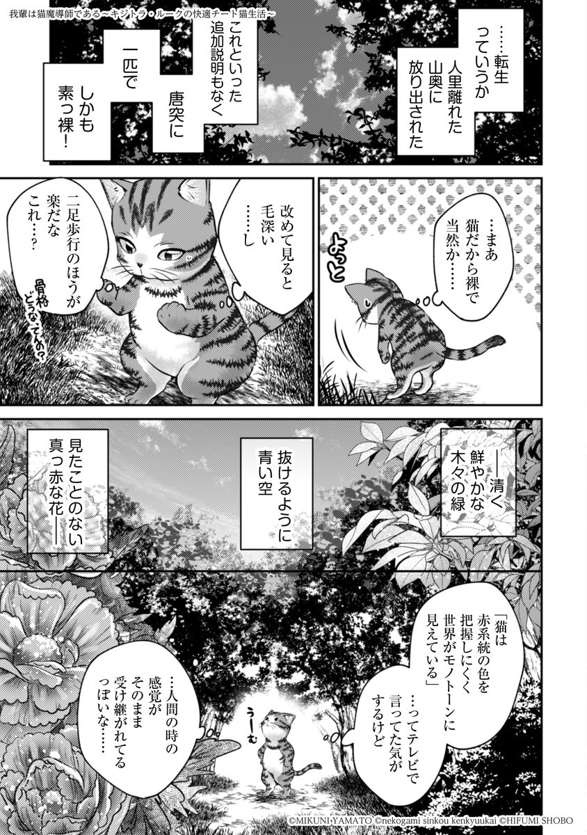 かくして俺は、ほぼテンプレ通りに異世界に転生した。ただし、猫の姿で。(5/8)  #漫画が読めるハッシュタグ