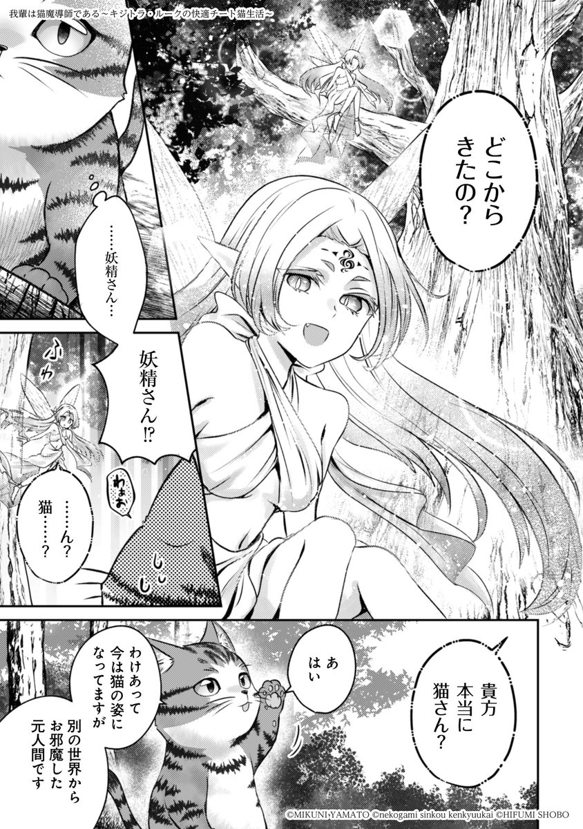 かくして俺は、ほぼテンプレ通りに異世界に転生した。ただし、猫の姿で。(6/8)  #漫画が読めるハッシュタグ