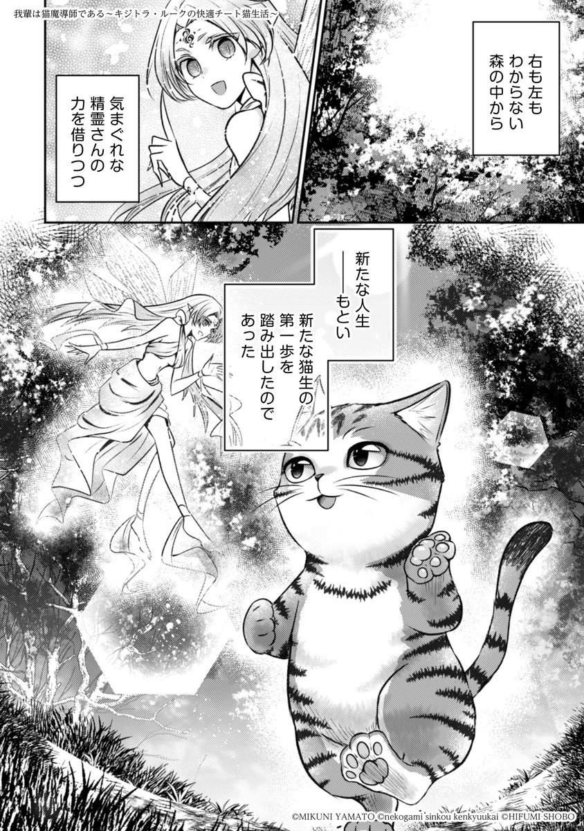 かくして俺は、ほぼテンプレ通りに異世界に転生した。ただし、猫の姿で。(8/8)  #漫画が読めるハッシュタグ