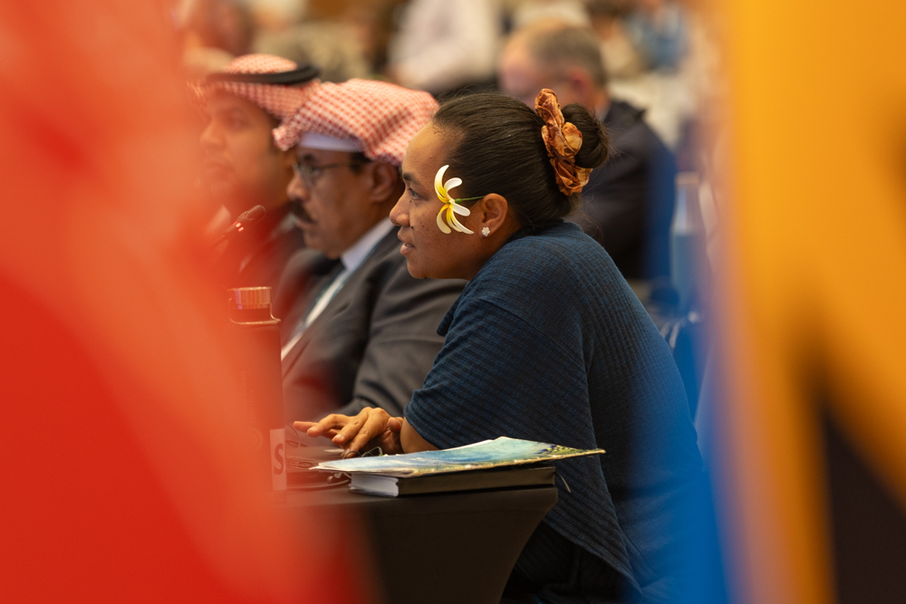 IISD_ENB's tweet photo. When deep-sea mining—one of the most controversial items on the agenda at #CMSCOP13—was broached in plenary, a Samoan delegate urged for a precautionary approach: “We can only guess at the damage & loss of species & habitats it will bring.” #migratoryspecies #natureknowsnoborders https://t.co/mLVxaNiskv