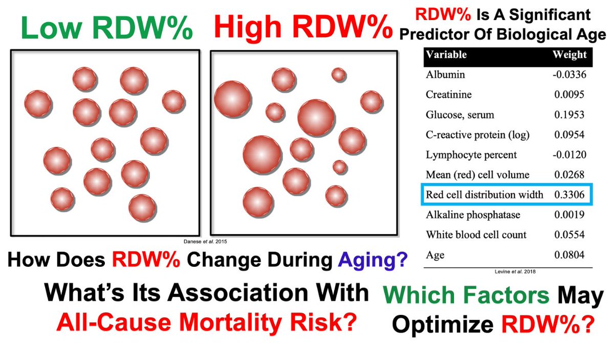New YT video!

youtube.com/watch?v=cOg91U…