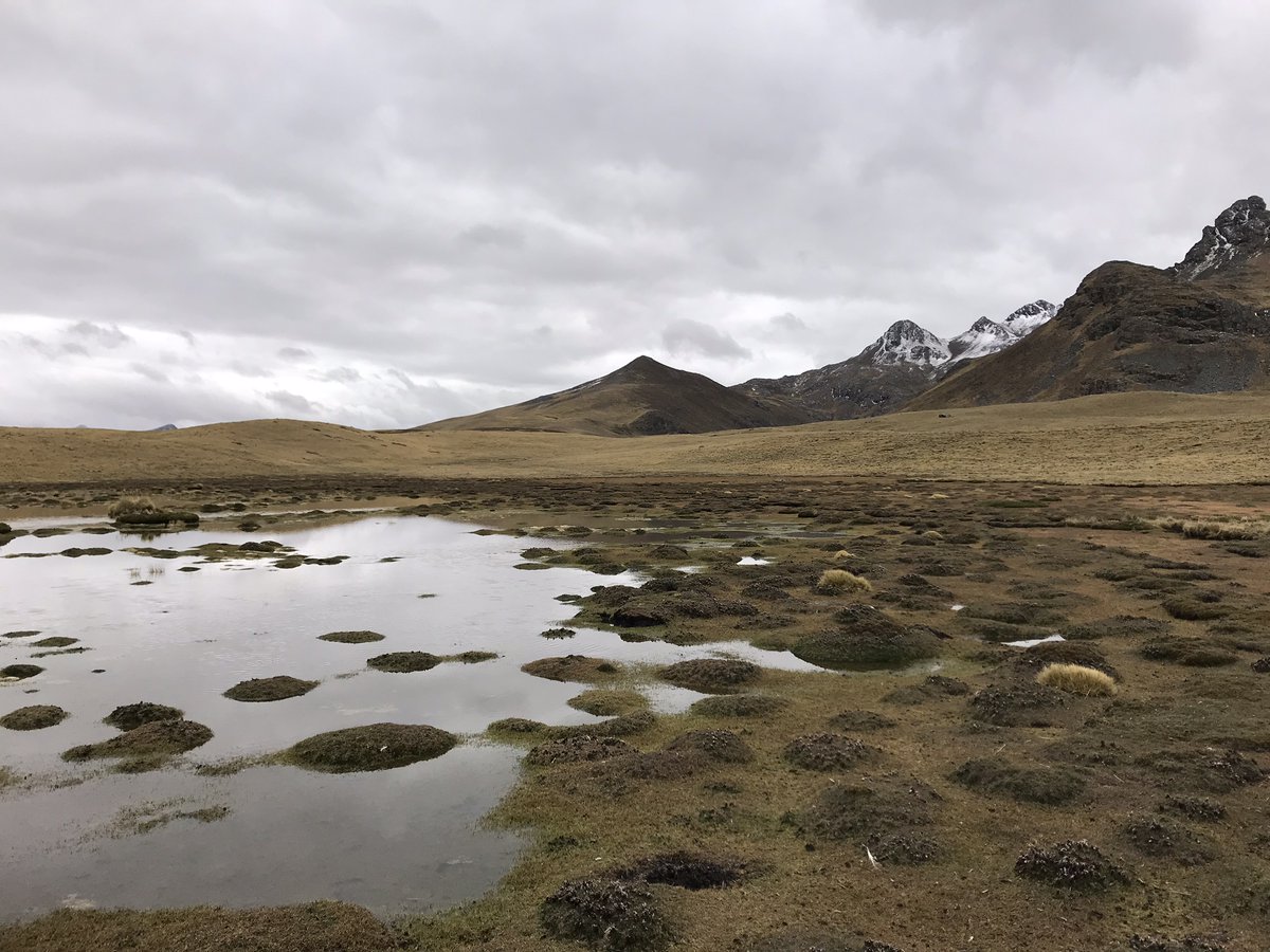 Dr Josie Handley tweet media