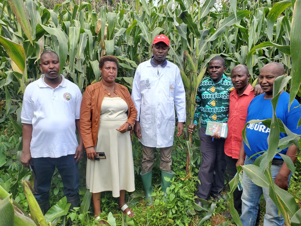 MuramvyaProv's tweet photo. #Burundi
Kuri uyu wa Gatatu Buramatari @EuphremNd yagendeye abarimyi bo ku mutumba wa #Masango muri Komine ya Muramvya bafashwe mu mugongo n'ishirahamwe #Tubura ahari imirima y'🌽 iteye igumwe ku buringanire bwa 2 ha
@NtareHouse
@MininterInfosBi
@BMineagrie
@oneacrefundbu
1/n https://t.co/7Nddfi92zN