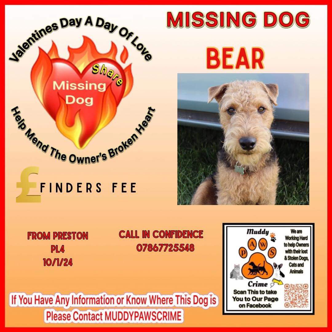 Please keep #Reposting Bear is still missing suspected #TheftbyFinding  #Help is needed to #BringBearHome on this #ValentinesDay 1 share might all that’s needed to get him home he is #Loved & missed #Preston is where he went #missing but could be anywhere in #UK #LakelandTerrier