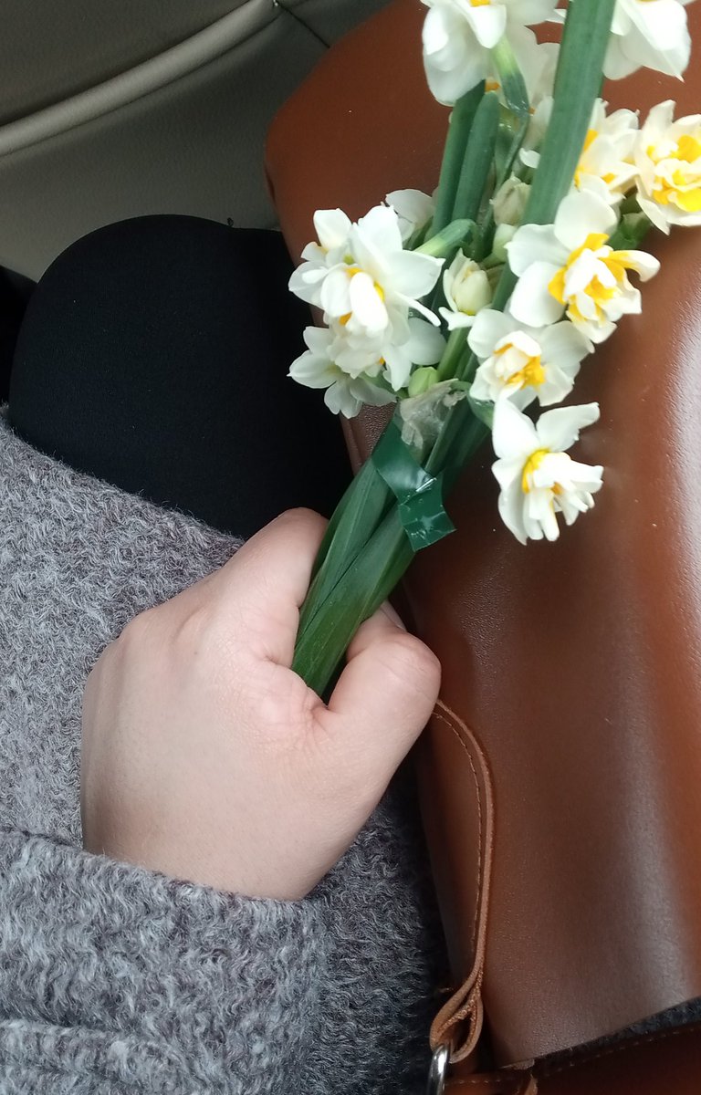 Kendime en sevdiğim nergis😊

#Eylooodiyolar 😎😂